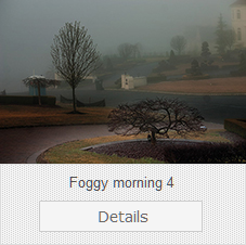 Foggy morning 4